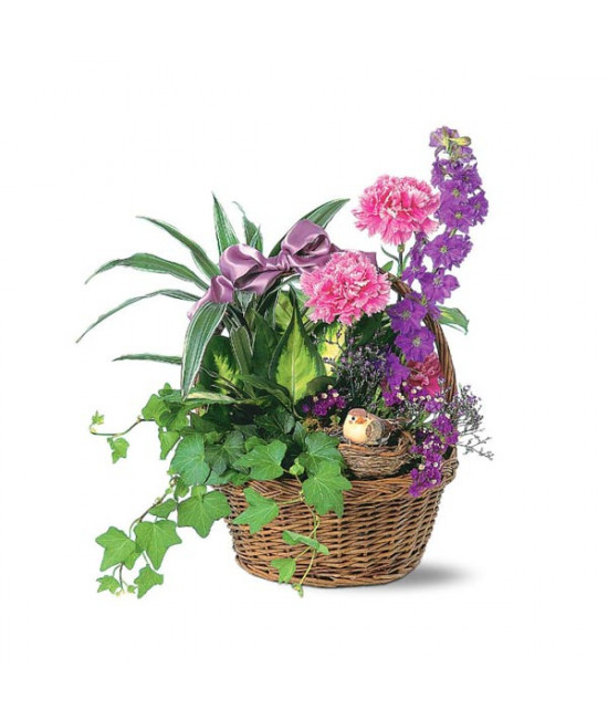 Basket Garden with Bird